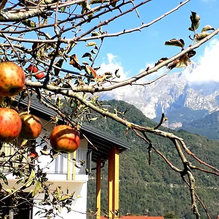 Appartement Alpa